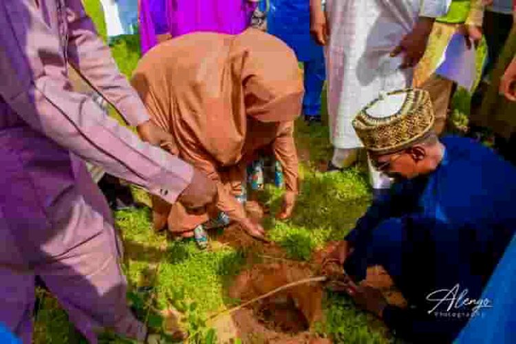 Coalition Of Muslim Women In Borno,Flaggs Off Tree Planting Campaign In Bosu
