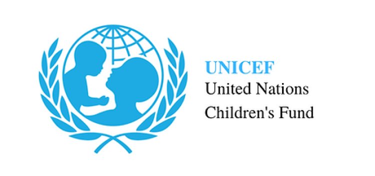 UNICEF Raises Fresh Concerns Over Nigerian Learning Crisis