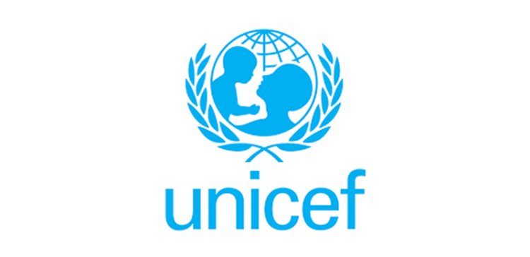 UNICEF's Alarming Report: Just 7% of Nigerian Youth Equipped for Digital Economy's ICT Demands