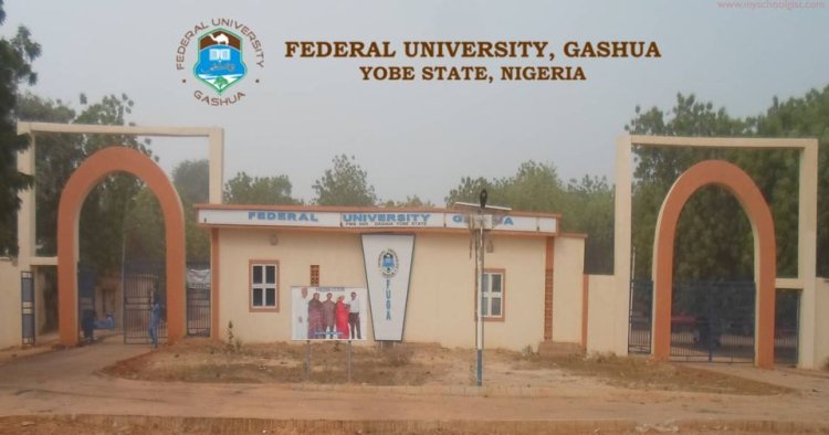 Federal University, Gashua: Your Gateway to Higher Education in 2023/2024!
