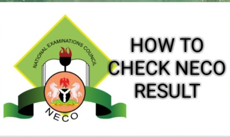 How to Check Your 2023 NECO Result