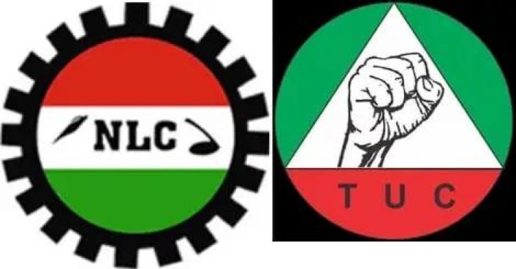 Nigeria Labour Insists On Indefinite Strike, Condemns FG's Meeting