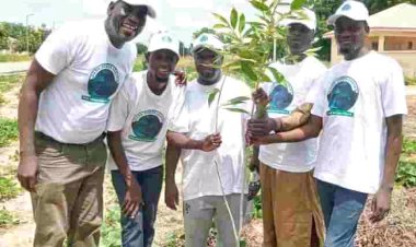 Amb. Usman Aliyu Expands Tree Planting Campaign, Transforming BOSU Premises into a Green Oasis