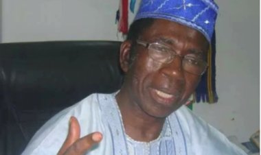 ASUU has become known for strikes -Ex-education minister