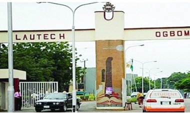 Embrace streams of income to survive, don advises Nigerians