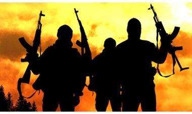 Northern Elders Forum (NEF) Condemns Abduction of Female Students in Gusau