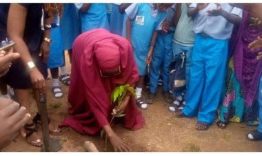 SCI Inspires School Children to Combat Climate Change through Tree Planting