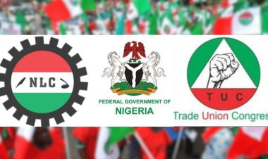TUC, NLC  Strike Suspension after Productive Negotiations with Federal Government