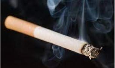 WHO Urges Global Action to Protect Young People: Ban Smoking and Vaping in Schools"