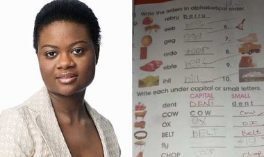 Mother Shares Child's Corrected Assignment, Sparks Online Debate Over Teacher's Marking