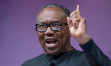 Leaders who forge certificates can’t do things right in Nigeria – Peter Obi