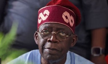 Did Nigeria's President  Tinubu Graduate from a School Not Yet Established?