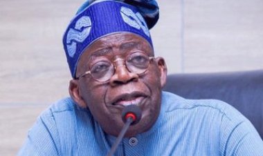 Nigerians Call for Tinubu's Resignation Amid CSU Academic Records Scandal: An International Embarrassment