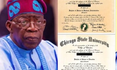 Bola Tinubu Attended and Graduated in 1979 - Chicago Registrar Testifies