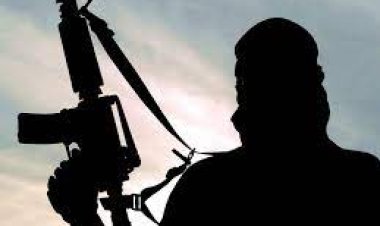 Terrorists abduct 5 varsity students in Katsina, one suspect arrested