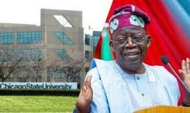Presidential Certificate Controversy: Chicago State University Records Vindicate Tinubu, Presidency Asserts