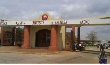 Nigerian Graduates Invent Atmosphere Monitoring Device