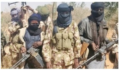 Police arrest suspected bandits’ informant over abduction of Katsina varsity students