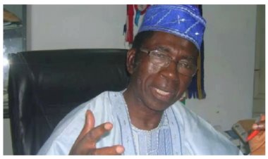 Former Education Minister Criticizes Nigerian University Curriculum for Producing Unemployable Graduates
