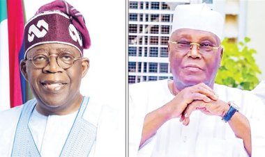 CSU's Release of President Tinubu's Academic Records Sparks New Dimension in Atiku's Legal Battle