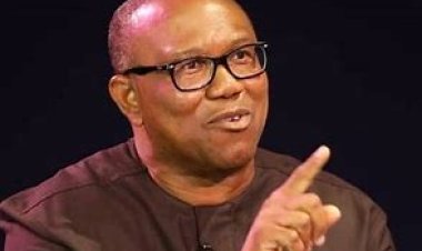 Tinubu’s certificate: I’m focused on reclaiming my mandate at S/Court, Obi replies Atiku