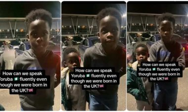 Power of Parental Education: British-Nigerian Boys Flaunt Impressive Yoruba Proficiency