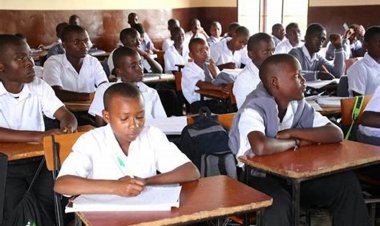 144 public secondary school students trained on crop planting methods in Oyo