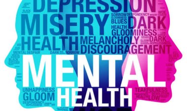 WHO Representative to Nigeria Highlights Media's Role in Promoting Mental Health Education