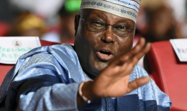 Did Atiku Forge His O'Level Certificate? Examining the Controversy
