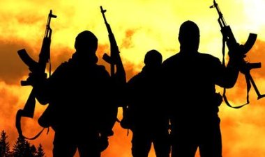 Tragic Night: Four Students Abducted from Nasarawa State University (NSUK), Keffi