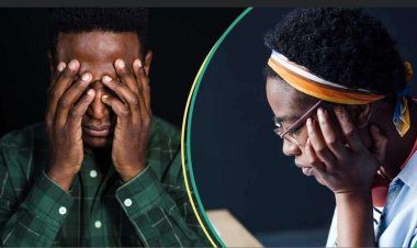 Unhappy NECO Candidate Requests Remark of Results After Scoring 7 Cs