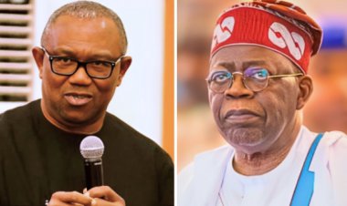 Peter Obi Urges President Tinubu to Address Educational and Identity Questions