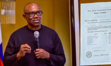 Peter Obi's Academic Credentials Emerges Online-WAEC Degree and NYSC Certificates