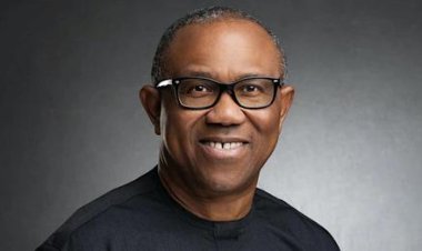 Labour Party Rejects Claims of Certificate Discrepancies Regarding Presidential Candidate Peter Obi