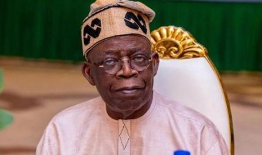 National Democratic Coalition Disputes BBC Report on President Bola Tinubu's Academic Records