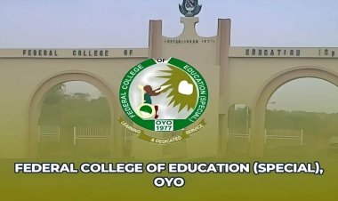 UI/FCE Affiliated Programme Thrilling Start to the Freshers' League: Uniting Students through Sports