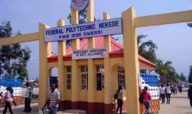 How to Check Your Admission Status at Federal Polytechnic, Nekede, Owerri (FPNO)