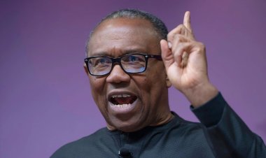 Yunusa Tanko Confirms - Peter Obi Is Not Utilizing His Deceased Brother's Certificate