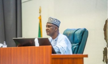 Reps Call for Urgent Release of 30 Abducted Zamfara Varsity Students