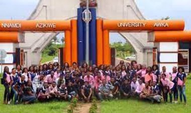 How to Check UNIZIK Admission List 2023/2024 Via PDF: Your Comprehensive Guide