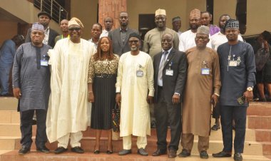 UNILORIN DVC Academic, Professor Olubunmi Abayomi Omotesho,  Honoured with prestigious NAAE Fellowship