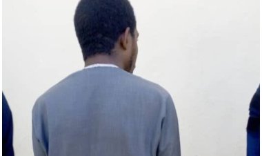 NSCDC Arrests 500-level ABU Student for Fatal Stabbing of Teenager in Bauchi