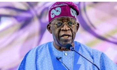 Student Loan Scheme to Commence in January 2024, Announces President Tinubu
