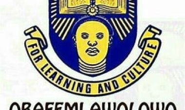 Boys Without Borders Nigeria to Launch at Obafemi Awolowo University, Seeks Pioneer Leaders