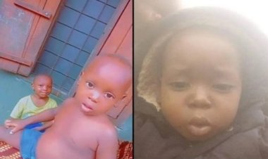 Tragic Accident Claims the Life of a 2-Year-Old Who Fell from School Building