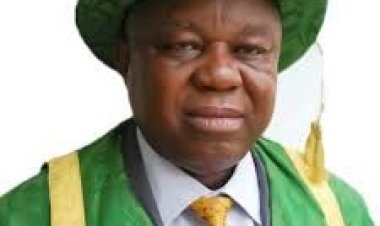 Prof. Charles Arizechukwu Igwe: A Visionary Leader at the Helm of the University of Nigeria, Nsukka