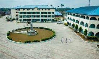 Madonna University, Nigeria: Pioneers of Quality Catholic Education