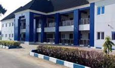 Brief History of Madonna University