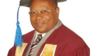 The Pro Chancellor of Madonna University: A Journey of Academic Excellence