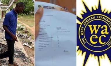Unusual WAEC Result Stirs Attention as Nigerian Student Prints and Displays Grades in Math and English